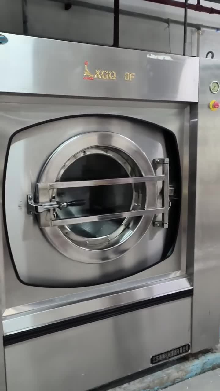 现场处理海狮100公斤酒店洗衣房机器